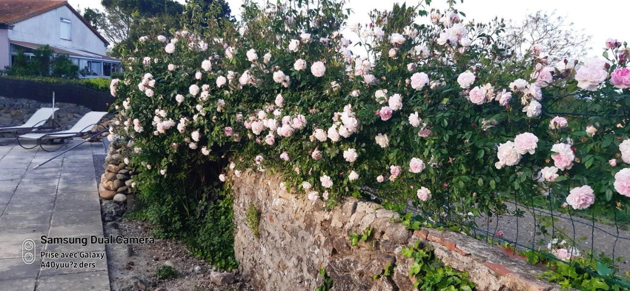 La Medeenne Alairac Kültér fotó